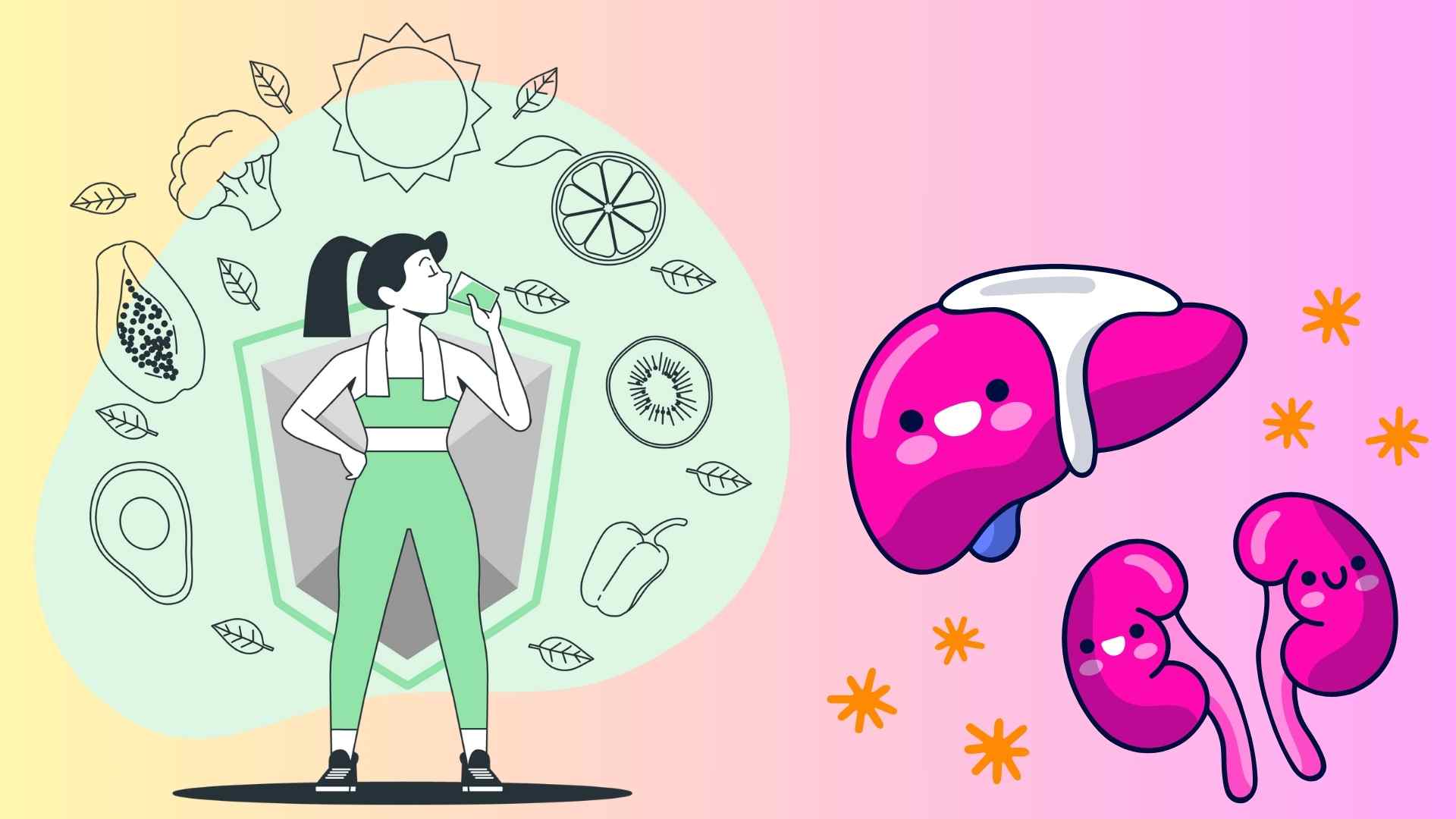 Some good habits for the liver and kidneys. Graphics: Ha May