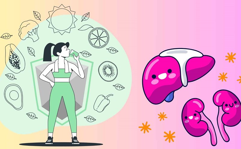 Some good habits for the liver and kidneys. Graphics: Ha May