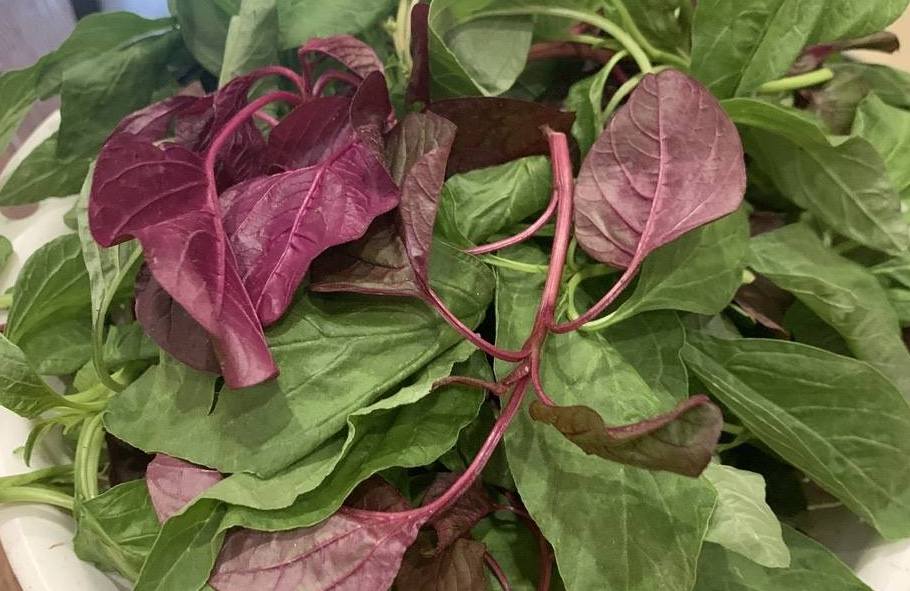 腎不全の人はレモンを避けるべきです。写真:キエウ・ヴー