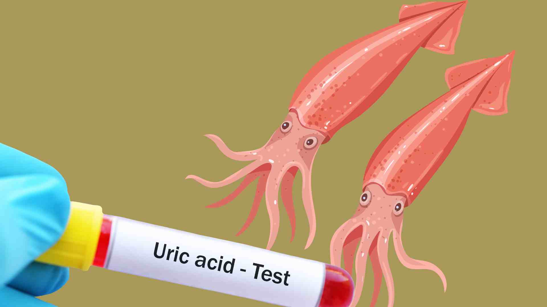 Eating squid properly does not increase uric acid. Graphic photo: Hoang Loc