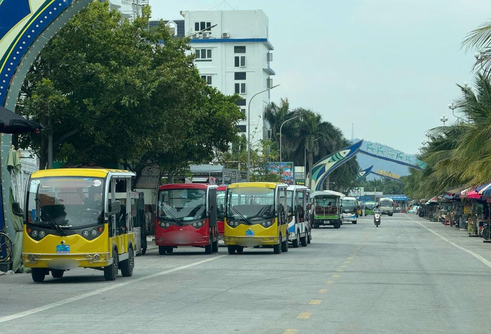 Cac xe dien xep hang dai o bien Hai Tien (xa Hoang Tien, tinh Thanh Hoa). Anh: Minh Hoang