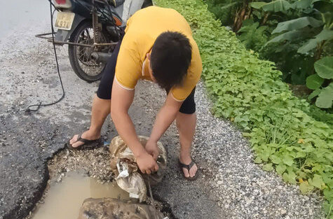 El Sr. Do Huu Quan aprovecho el fin de semana para verter la tierra y llenar los baches en la ruta a traves de Khoai Chau Commune. Foto: Hai Ngoc