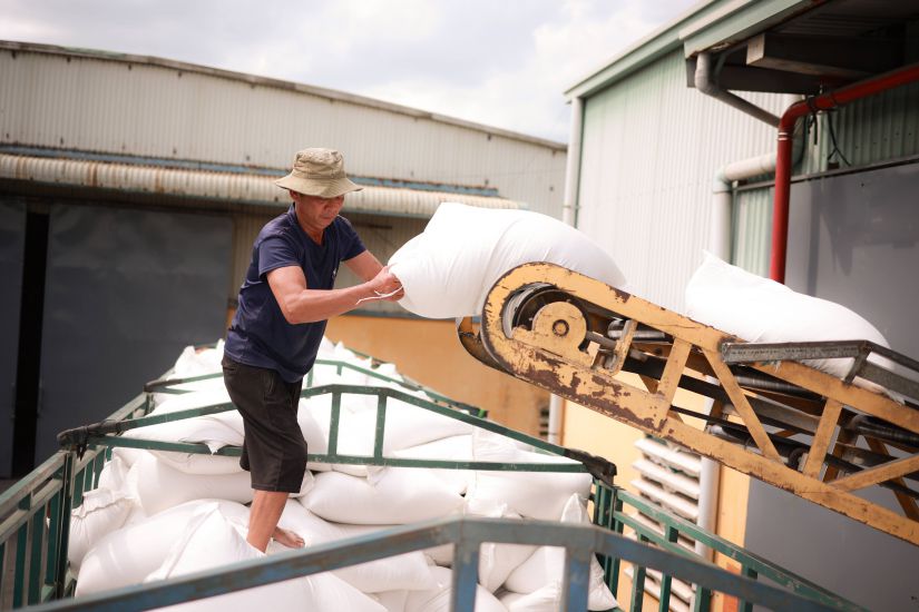 Le secteur agricole vietnamien s'efforce non seulement d'atteindre l'objectif de 65 milliards de dollars US de chiffre d'affaires a l'exportation mais vise egalement un developpement de haute qualite s'adaptant progressivement aux normes de plus en plus strictes du marche mondial. Photo : Hai Nguyen