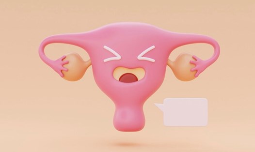 Vì sao cần ăn đúng thực phẩm theo chu kỳ kinh nguyệt? Ảnh: Thùy Dương