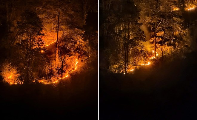 Une serie d'incendies de foret au cours des 6 premiers mois de l'annee ont detruit pres de 145 hectares de foret a Cao Bang. Photo : Tan Van