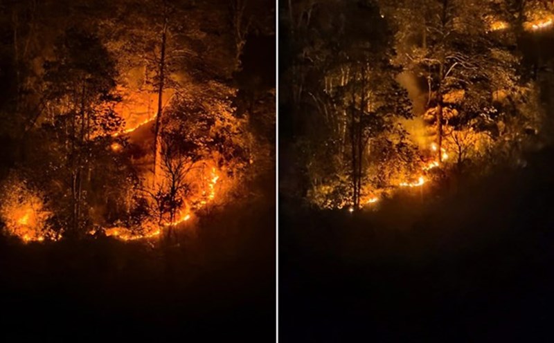 A series of forest fires in the first 6 months of the year burned down nearly 145 hectares of forest in Cao Bang. Photo: Tan Van
