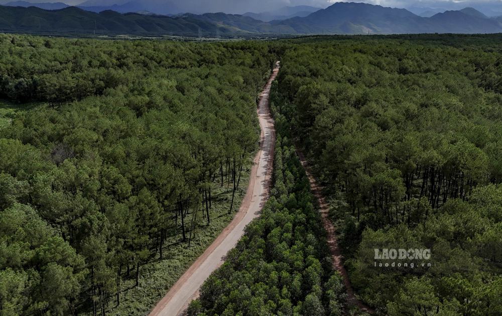 Tuyen Tinh lo 9, co chieu dai khoang 8km, noi tu Quoc lo 1 den nut giao cao toc Cam Lo - La Son (thuoc dia phan xa Phong Xuan, thi xa Phong Dien cu, sau sap nhap la phuong Phong Dien, TP Hue), dang trong tinh trang hu hong nghiem trong.