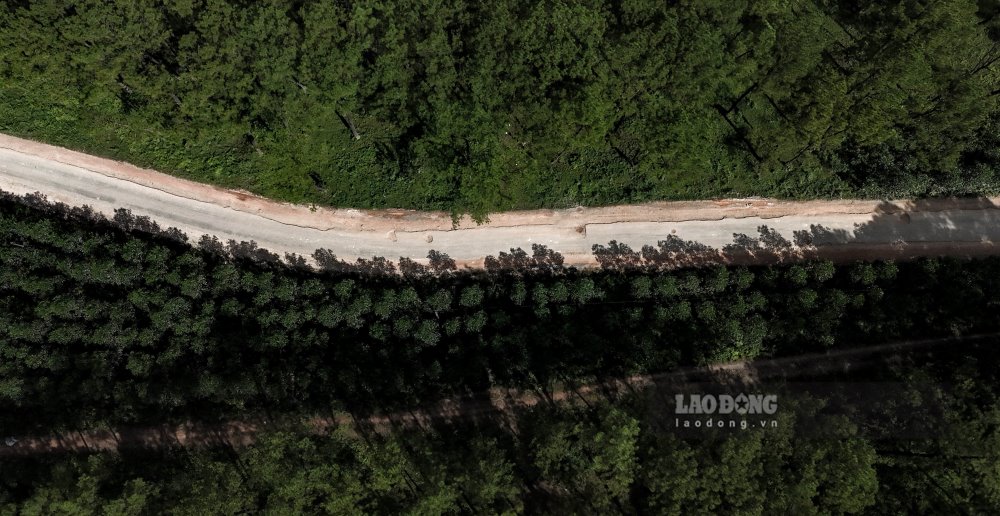 Moi day, So Xay dung da co to trinh gui UBND TP Hue va So Tai chinh xem xet, phe duyet chu truong dau tu du an nang cap Tinh lo 9 doan tu Quoc lo 1 den nut giao cao toc Cam Lo – La Son, nham dam bao an toan cho nguoi va phuong tien luu thong tren tuyen.