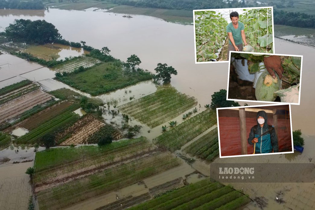 Les habitants se relevent apres les inondations et retablissent la production. Photo : Dang Vu.