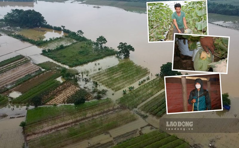 People are reluctant to get up after the flood and restore production. Photo: Dang Vu.