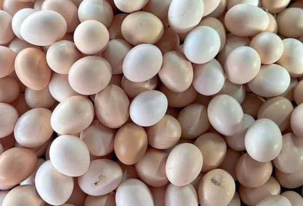 卵は、白卵と赤卵の両方を含む、優れたタンパク質源であり、コラーゲンの減少のリスクを避けるために食事に追加する必要があります。写真:Ha Anh