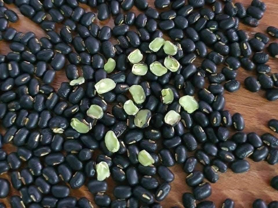 Roasted black beans are a drink that helps purify the liver. Photo: Quang Minh.
