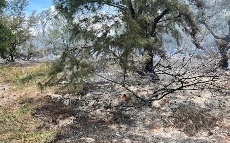 Production forest fire in Cam Hong commune. Photo: Hong Duc