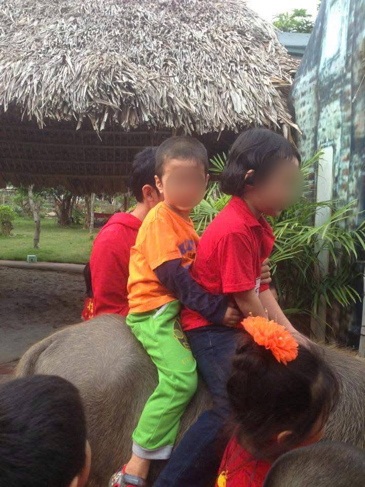 Cac trai he cho tre em ngay cang phat trien da dang nhung nam qua. Anh: Nhan vat cung cap