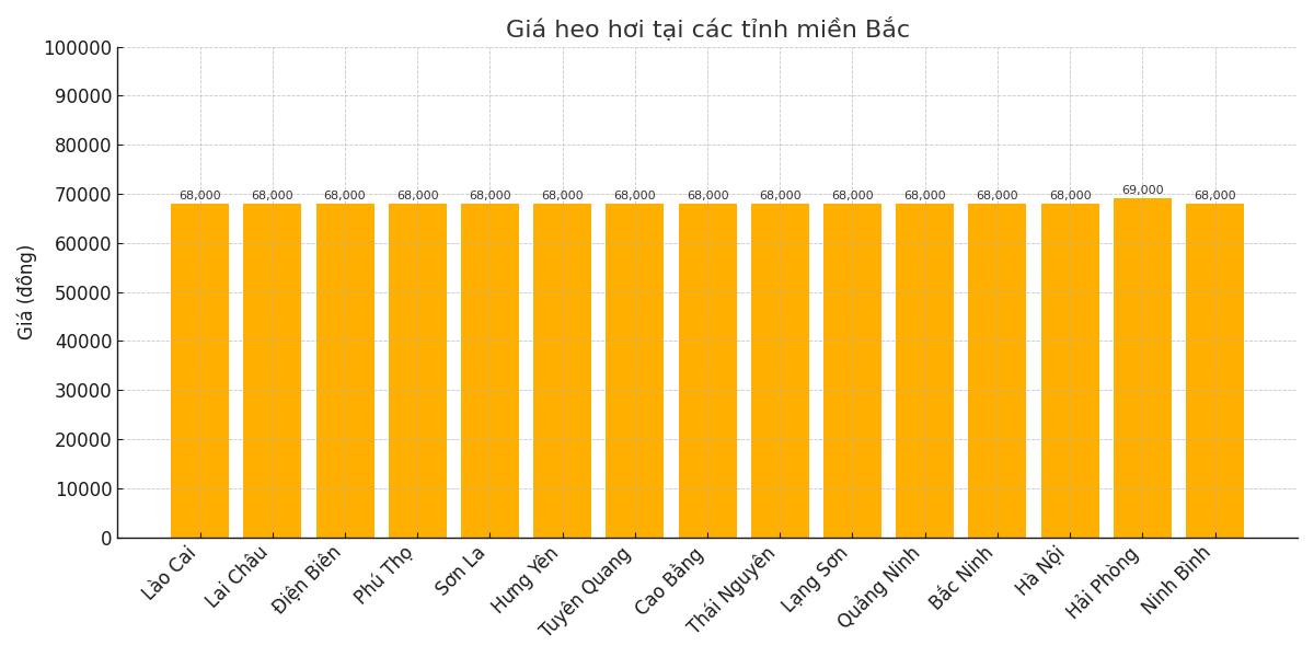 Gia heo hoi hom nay tai khu vuc mien Bac. Do hoa: Thuy Linh