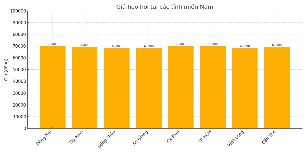 Gia heo hoi hom nay tai khu vuc mien Bac. Do hoa: Thuy Linh