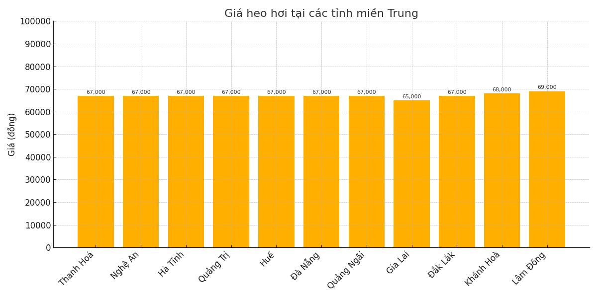 Gia heo hoi hom nay tai khu vuc mien Trung - Tay Nguyen. Do hoa: Thuy Linh