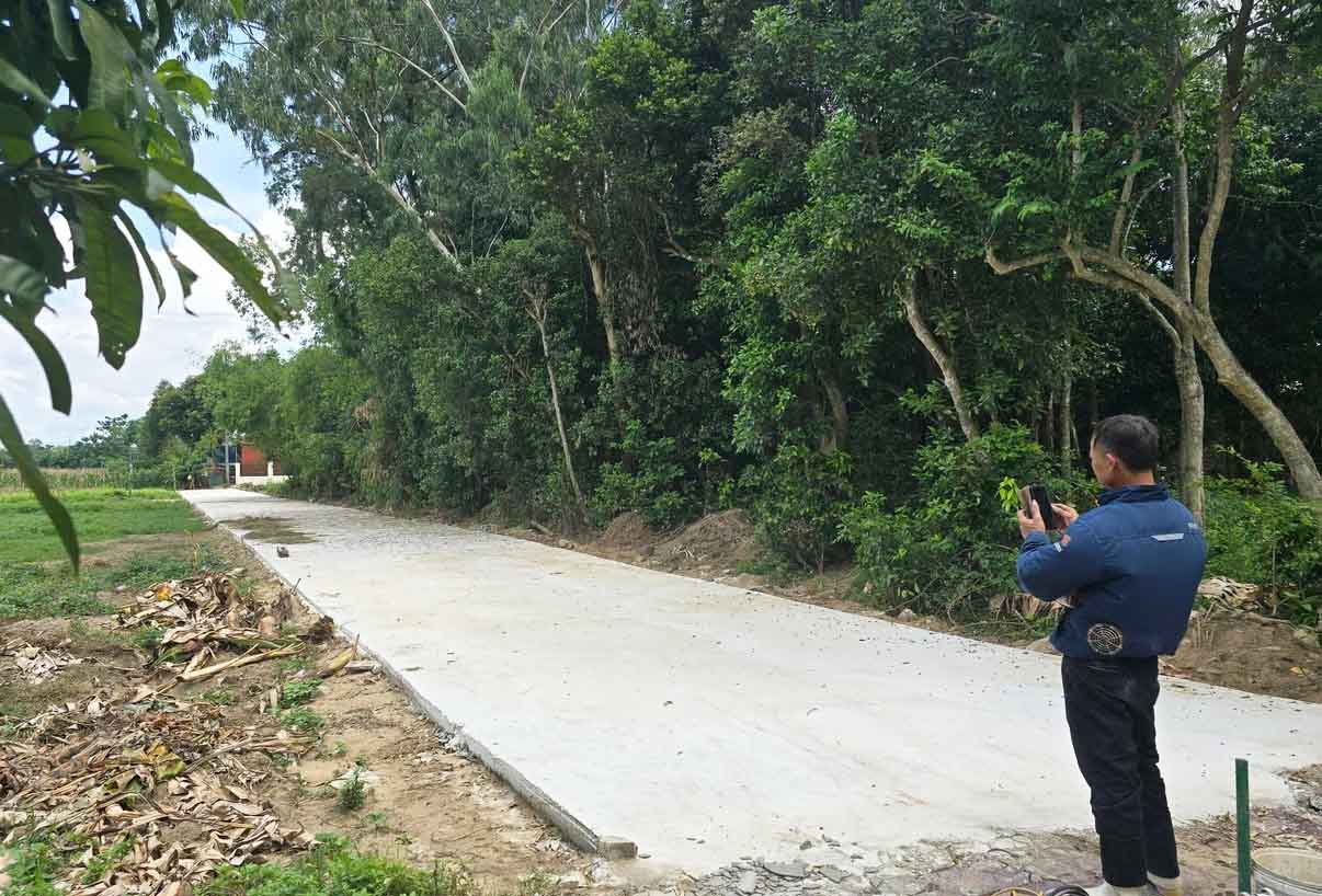 Sau 1 đêm, con đường bê tông dài 90m, rộng hơn 5m bất ngờ xuất hiện xuyên qua ruộng lạc ở phường Vinh Phú, Nghệ An. Ảnh: Ngọc Anh