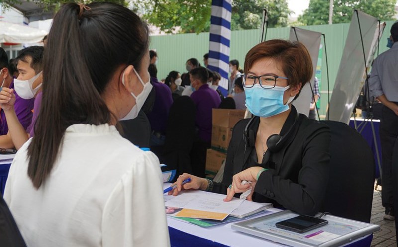 About 30% of graduates do not work in the field they have been trained for. Photo: Tue Nhi