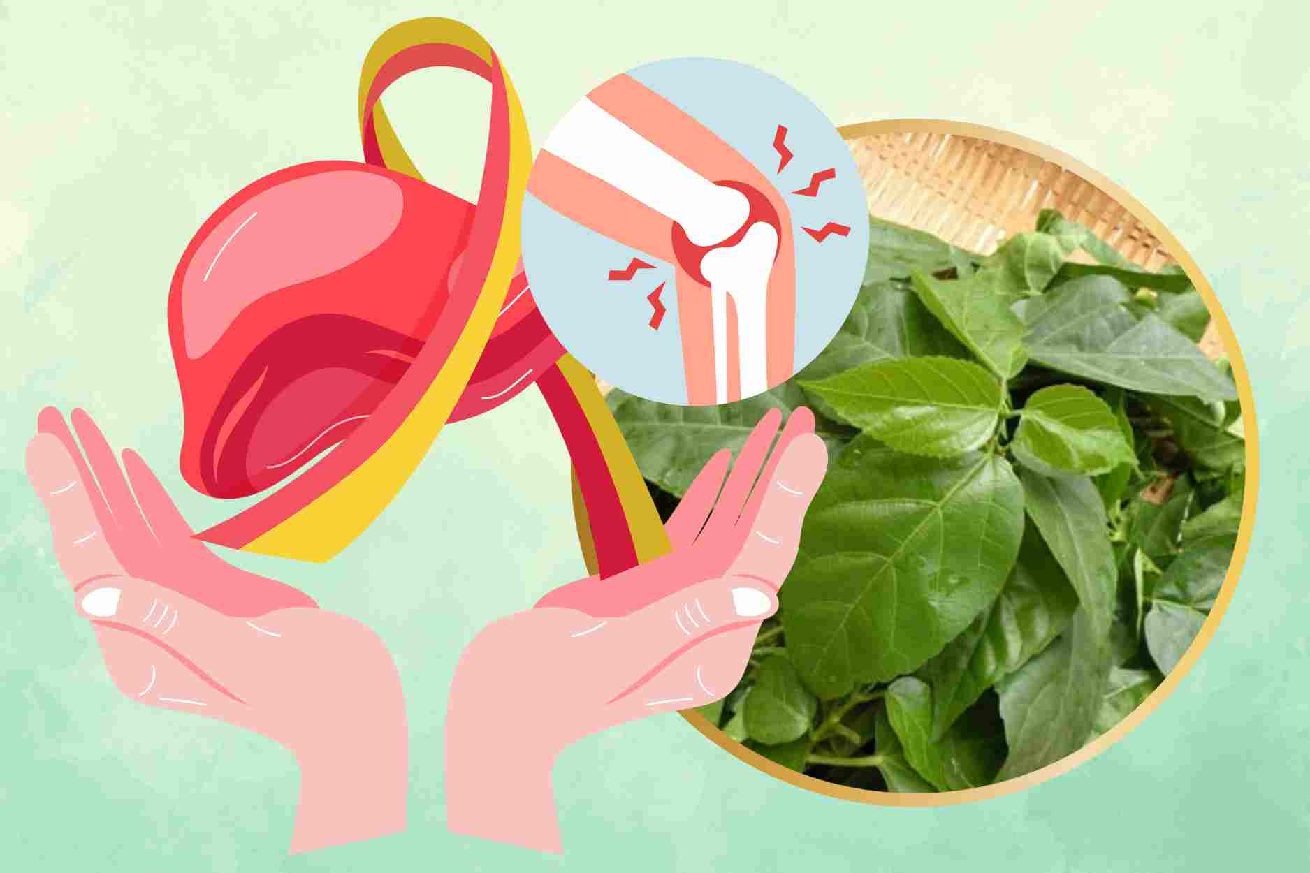 Detoxify the liver, reduce joint pain with folk remedies
