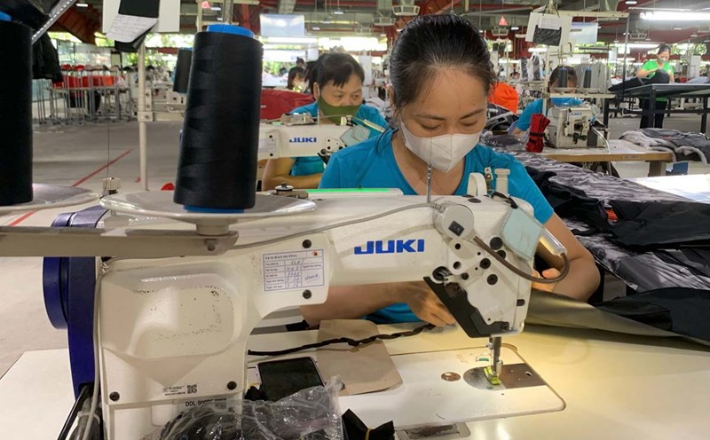 After the arrangement, the Ninh Binh Provincial Federation of Labor has 1,606 grassroots unions. Photo: Ha Vi