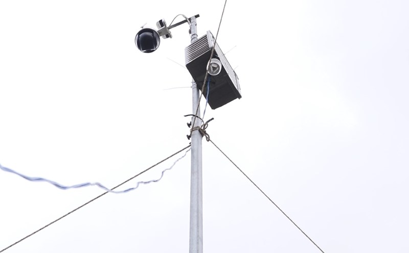 Cameras were installed to monitor the entire dragon fruit garden. Photo: Duy Tuan