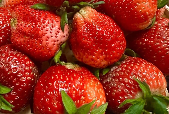 ジャガイモは、肝臓や腎臓の健康をサポートできる抗酸化物質が豊富な果物の1つです。写真:キエウ・ヴー