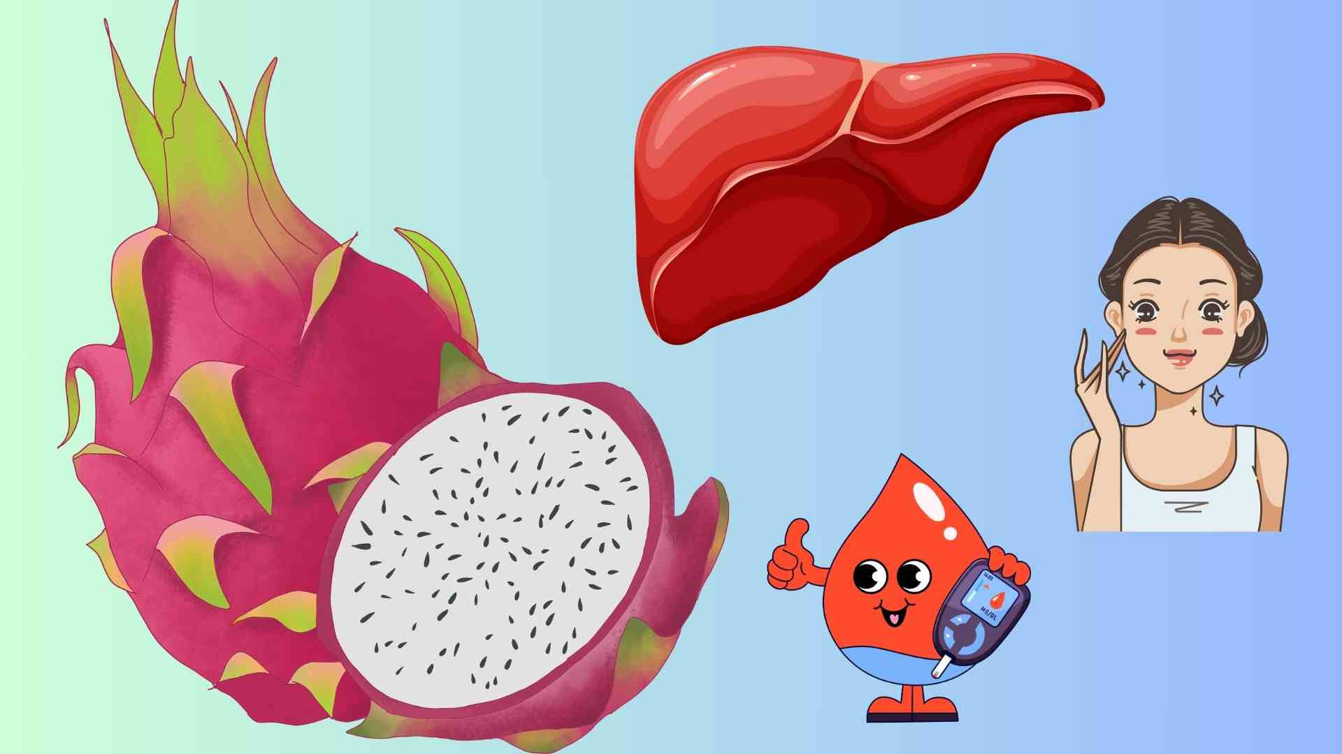 Eating dragon fruit at the right time not only helps cool the liver and beautify the skin but also helps control blood sugar effectively, especially during hot summer. Graphics: Huyen Trang