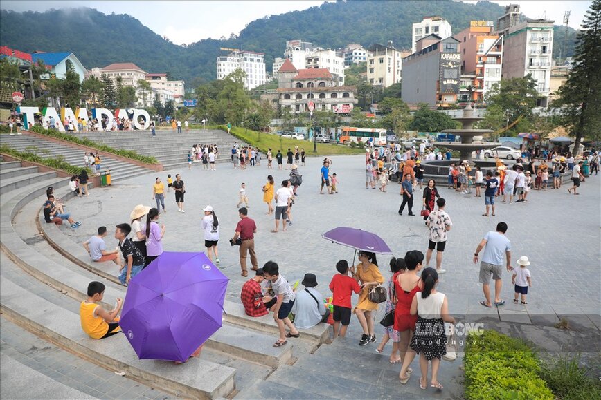 Tam Dao la mot dia danh noi tieng, thu hut hang trieu luot khach du lich moi nam. Anh: The Ky.