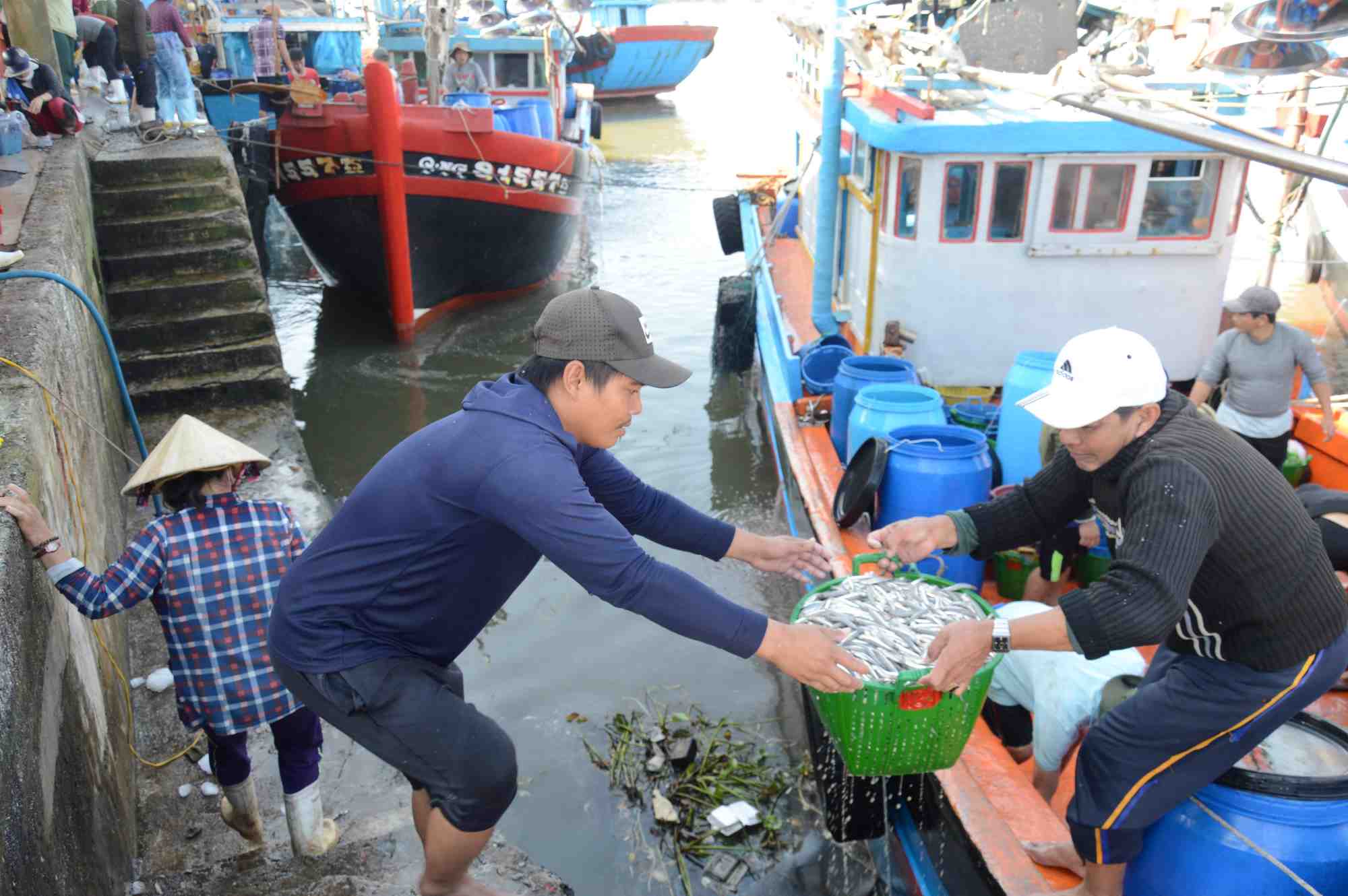 Les pecheurs et les entreprises d'achat et de vente de produits de la mer esperent vivement que le port de peche de Tinh Ky sera ameliore et etendu afin que l'entree et la sortie du port et la vente de produits de la mer soient plus pratiques. Photo : Vien Nguyen