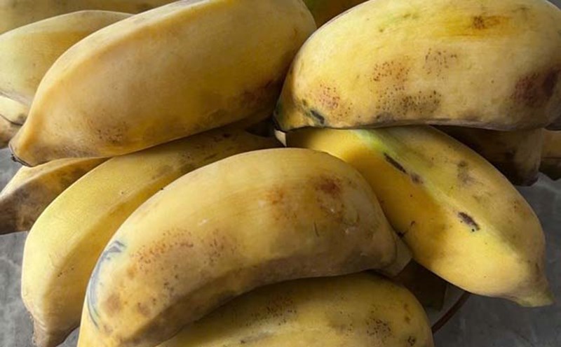 Natural solutions from banana peels to prevent mosquito bites and effectively care for the skin. Photo: Quang Minh