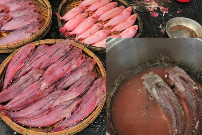 Người dân Đà Nẵng phát hoảng khi mua cá ở chợ luộc ra màu đỏ quạch Người dân Đà Nẵng phát hoảng khi mua cá ở chợ luộc ra màu đỏ quạch