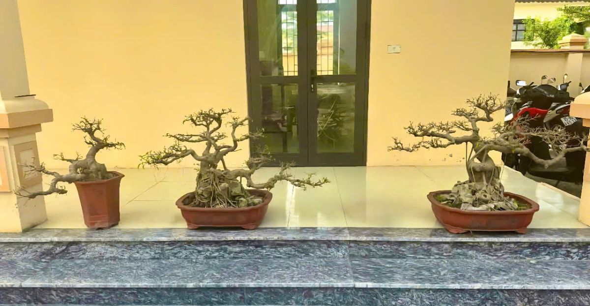 Las fuerzas policiales se apoderaron. Foto: Policia de la provincia de Ninh Binh