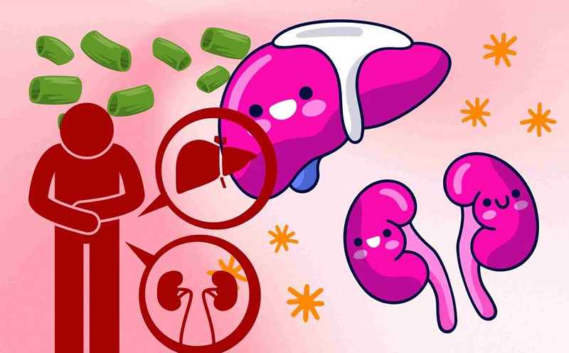 Wild vegetables help detoxify the liver and kidneys, improve male physiology