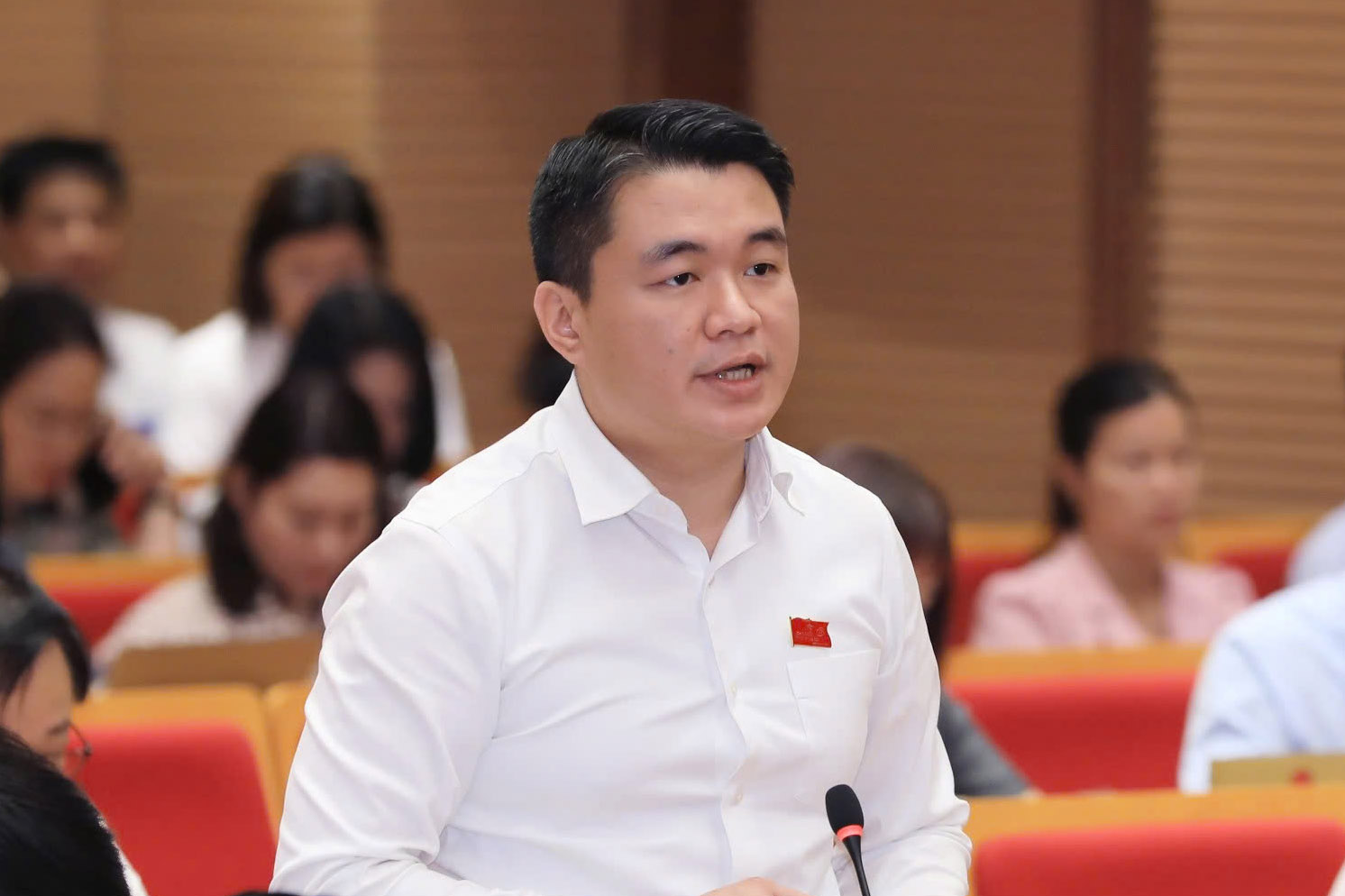 Dai bieu Dang