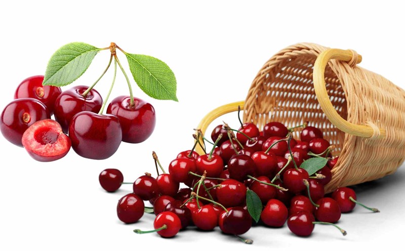 Cherry helps stabilize blood pressure, prevent high uric acid. Graphics: Ha May