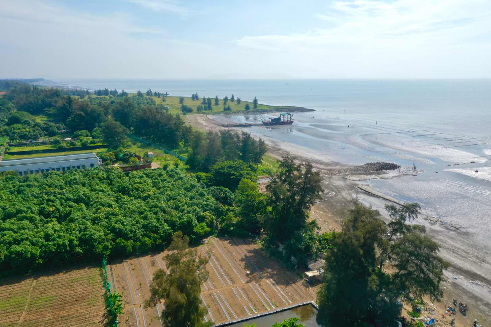 Can Gio 관광 도시 지역에서 출발하는 지하철 노선은 바다를 가로질러 붕따우까지 연결되는 노선으로 연장할 것을 제안합니다. 사진: Minh Quan