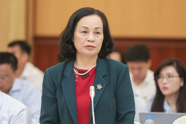 La Sra. Bui Thi Thanh - ex vicepresidenta del Comite Central del Frente de Paternas de Vietnam hablo en la conferencia. Foto: Hai Nguyen