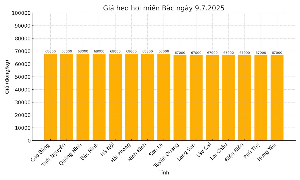 Gia heo hoi ngay 9.7 tai khu vuc mien Bac. Do hoa: Thuy Linh