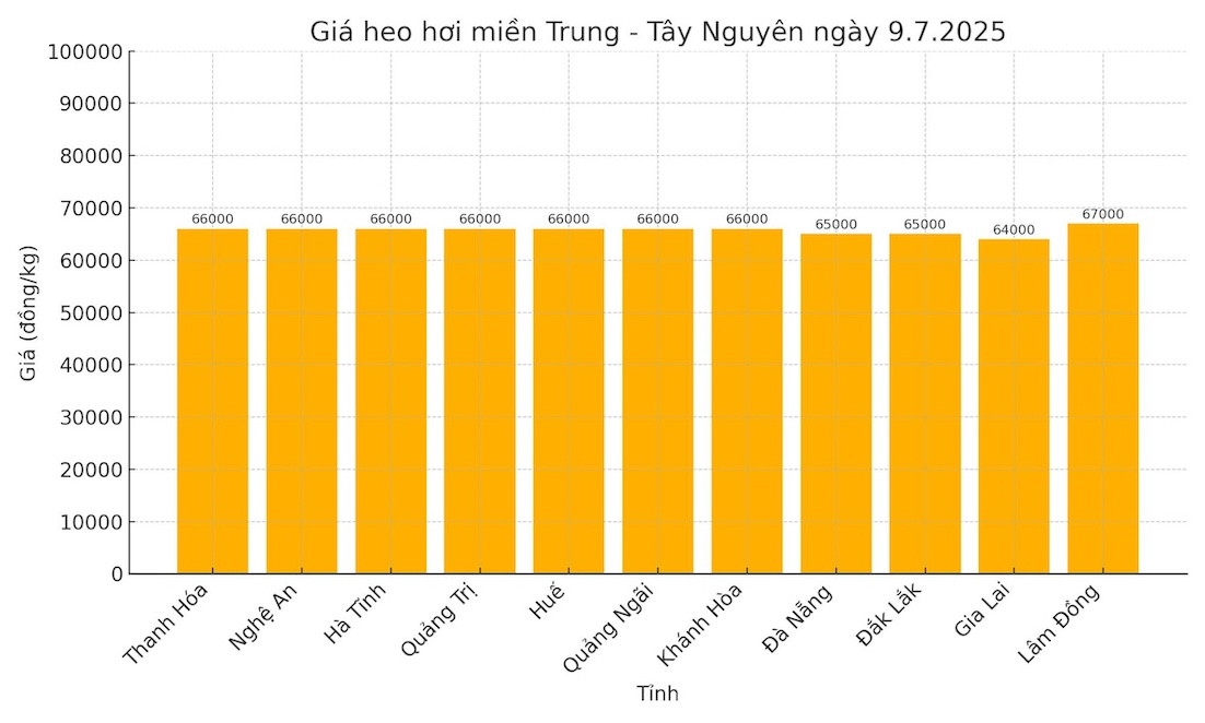 Gia heo hoi ngay 9.7 tai khu vuc mien Trung - Tay Nguyen. Do hoa: Thuy Linh