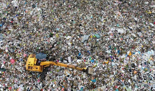 유일한 쓰레기 처리 공장이 문을 닫은 후 까마우성은 쓰레기를 매립했습니다. 사진: Nhat Ho