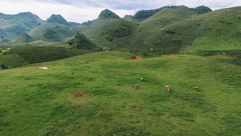 Vi chua duoc khai thac du lich, thuong mai hoa, Suoi Bon van mang net moc mac, hien hoa, gan gui, phu hop cho nhung ai muon tim ve thien nhien trong lanh va van hoa ban dia Tay Bac. Anh: NVCC