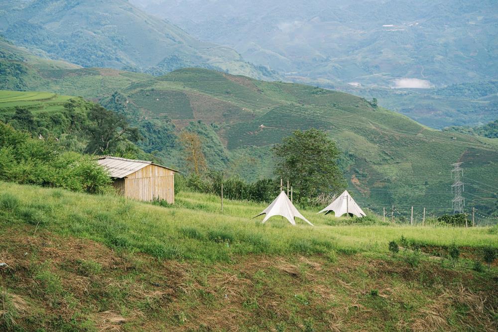 Dac biet, doi sim tai day la diem check-in va “san may” rat duoc khach du lich yeu thich. Hoa thuong no ro dep nhat vao khoang thang 7 – thang 9. Nhung doi hoa sim tim phu kin cac suon doi quanh ban Suoi Bon, ket hop voi suong som va nen nui tao nen khung canh mo ao, tho mong. Anh: NVCC