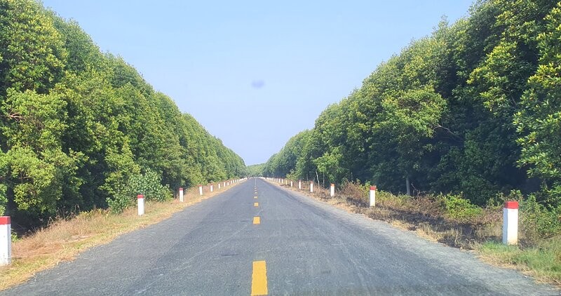 Duong tu Nam Can ve Dat Mui. Anh: Nhat Ho