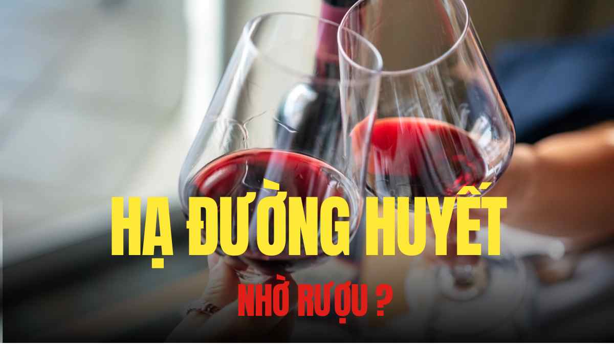 赤ワイン、適度に使用すると、間接的に血糖値のコントロールを助けることができます。グラフィック:Tra My