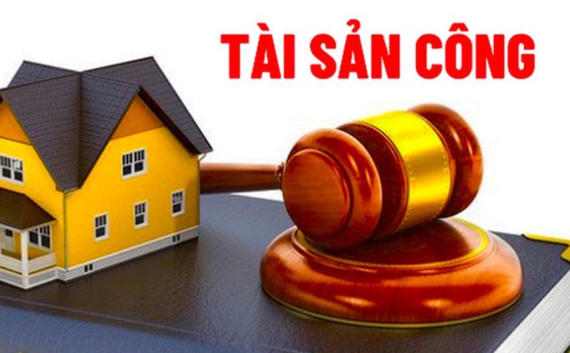 The Government issued new regulations on the sale and liquidation of public assets. Photo: VGP