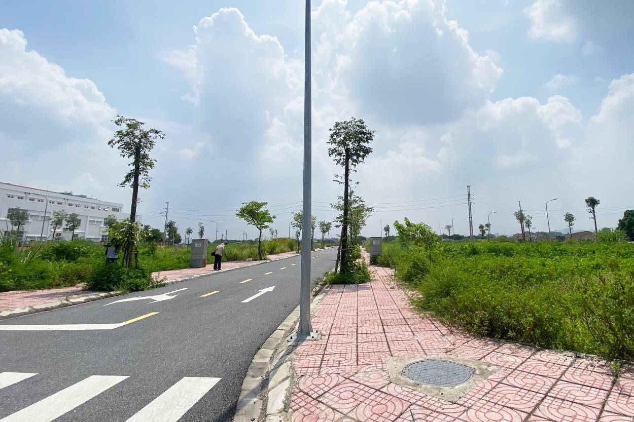 Khu dat dau gia tai xa Son Dong trong tinh trang bo khong, co moc um tum. Anh: Huyen Chi