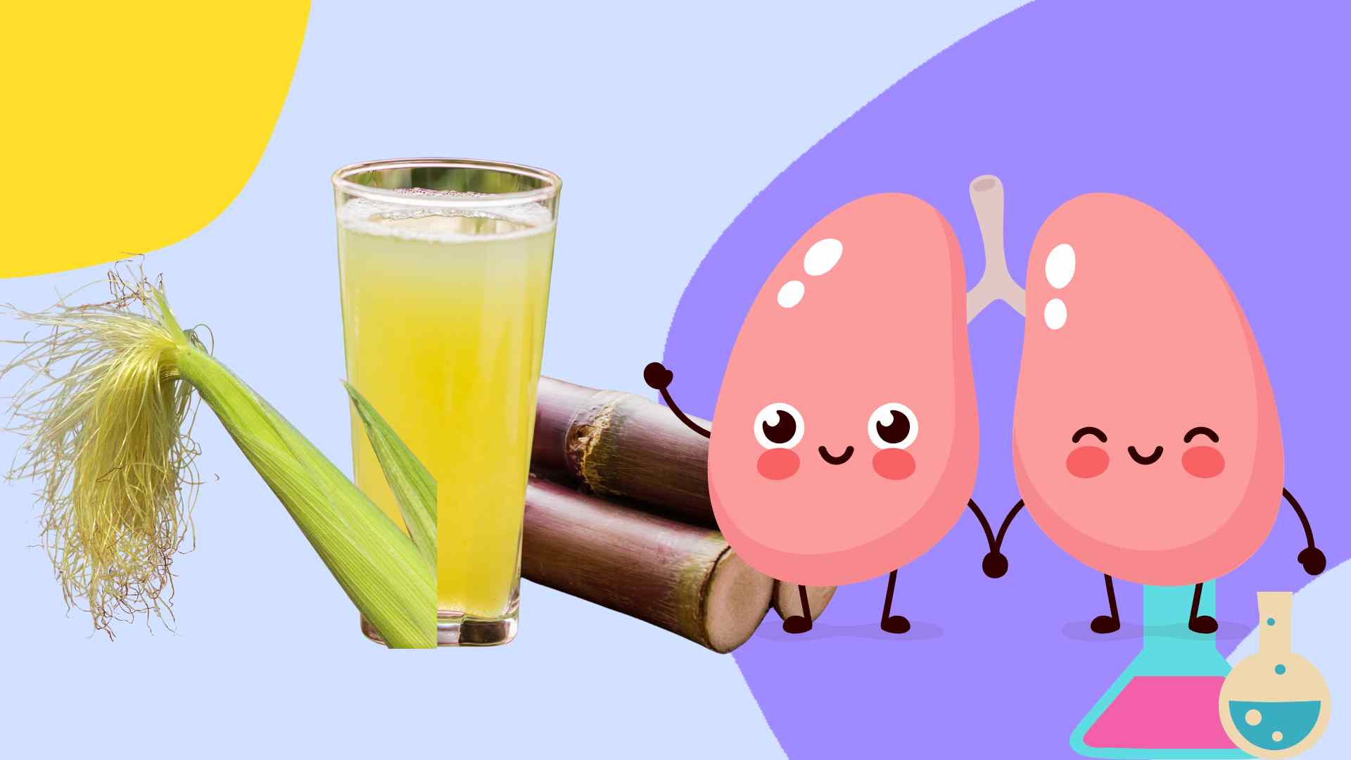 This type of rustic water helps keep the kidneys healthy and blood circulating. Graphic photo: Thai Anh