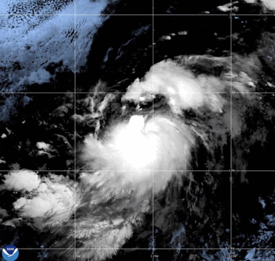Bao Gil du bao thanh bao cuong phong trong ngay 1.8. Anh: NOAA 