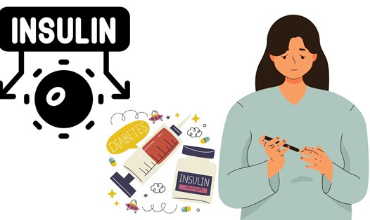 Chúng ta có thể thực hiện một số cách để cải thiện insulin. Đồ họa: Hạ Mây